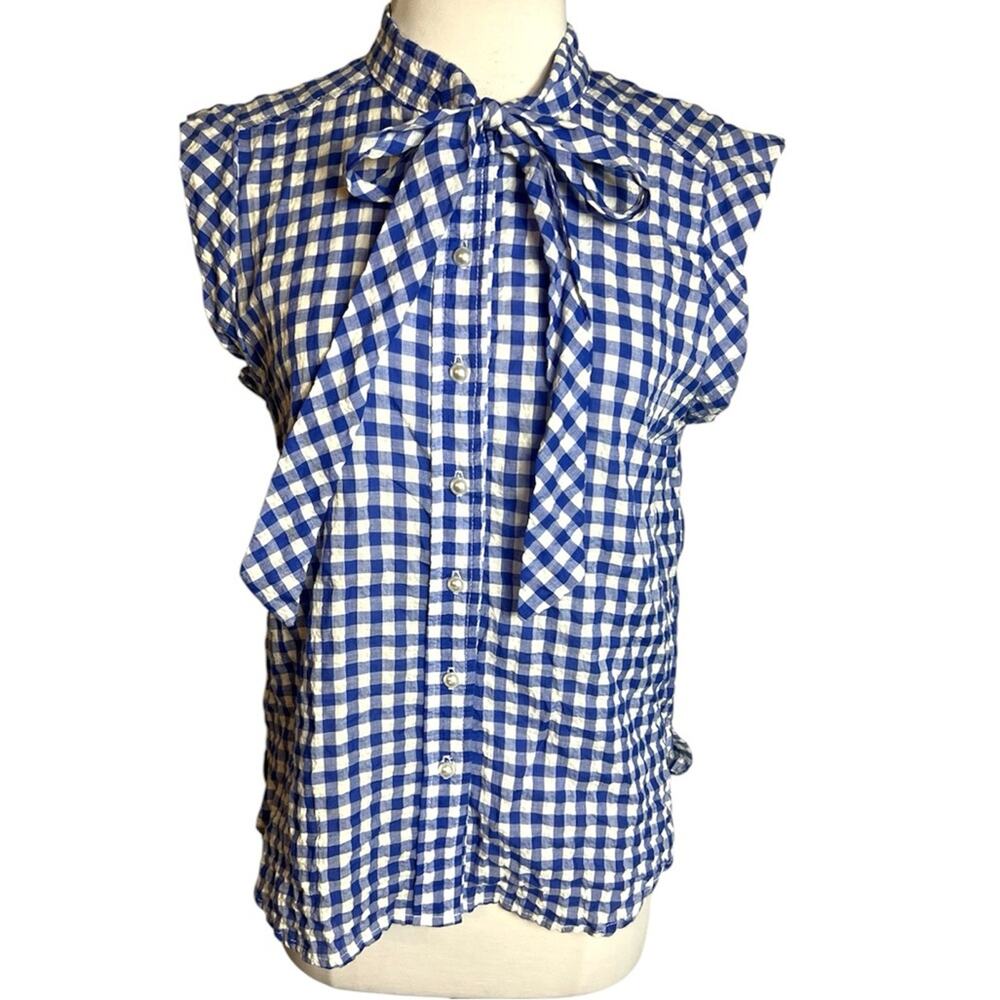Blue Gingham Tie-Neck Button-Down Blouse